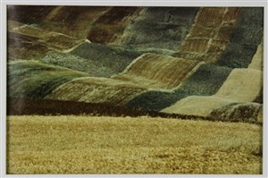 Image description is not available for 2013.028